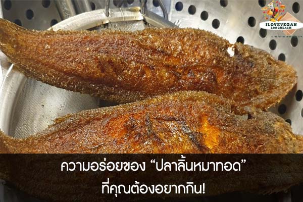 ความอร่อยของ “ปลาลิ้นหมาทอด”ที่คุณต้องอยากกิน!